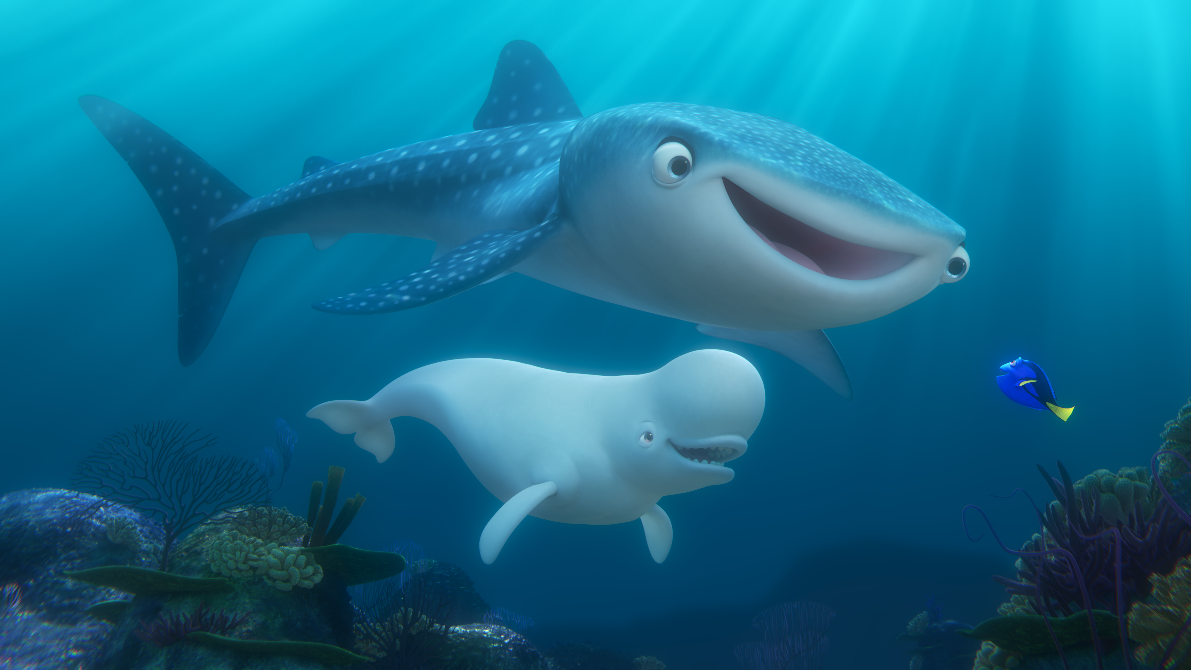 technology enhances finding dory